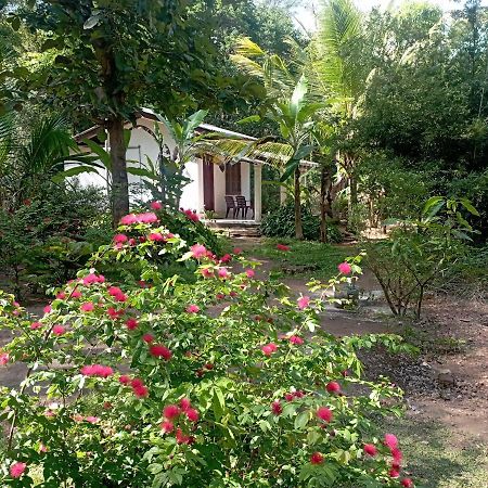 Sanjana Home Stay ハバラナ エクステリア 写真