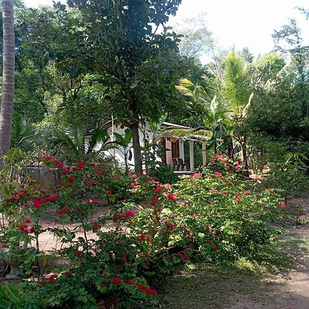 Sanjana Home Stay ハバラナ エクステリア 写真