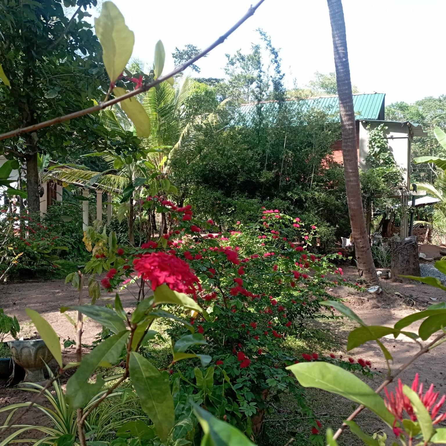 Sanjana Home Stay ハバラナ エクステリア 写真