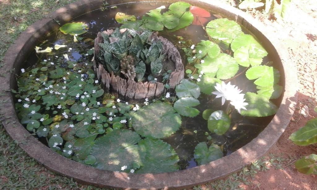 Sanjana Home Stay ハバラナ エクステリア 写真