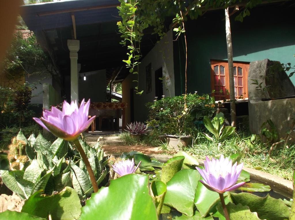 Sanjana Home Stay ハバラナ エクステリア 写真