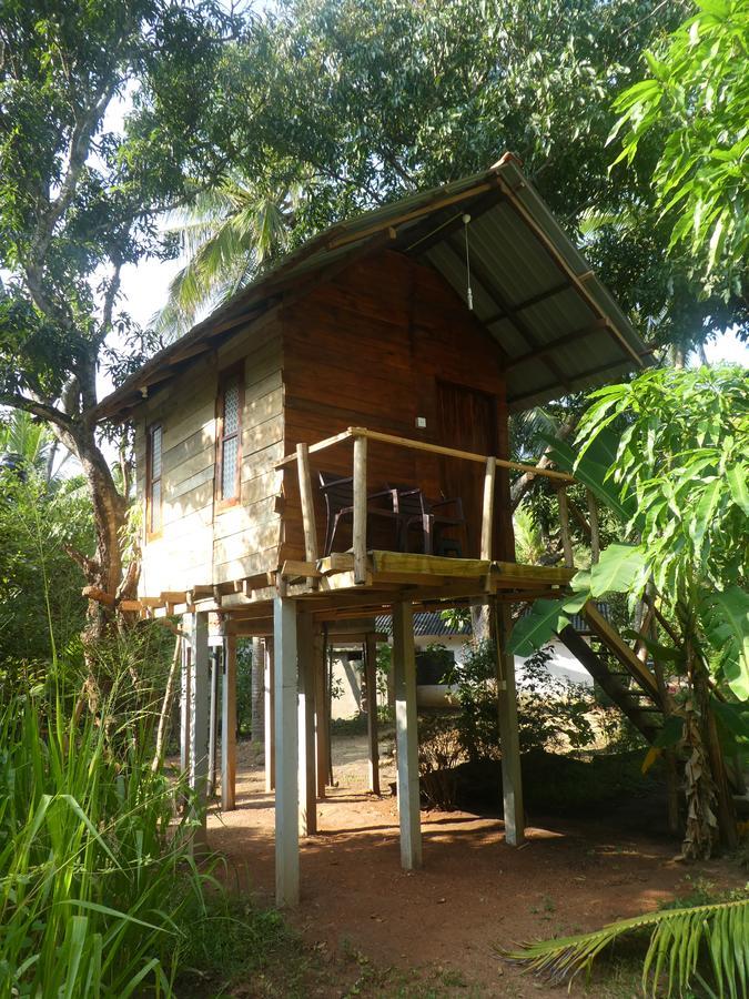 Sanjana Home Stay ハバラナ エクステリア 写真