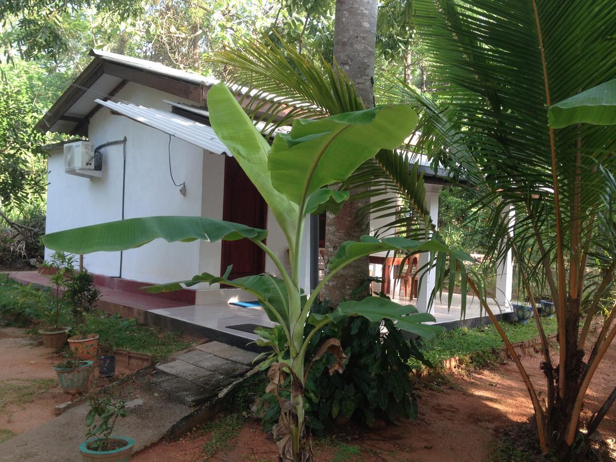 Sanjana Home Stay ハバラナ エクステリア 写真
