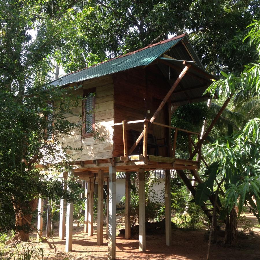 Sanjana Home Stay ハバラナ エクステリア 写真
