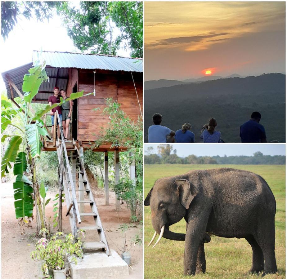 Sanjana Home Stay ハバラナ エクステリア 写真